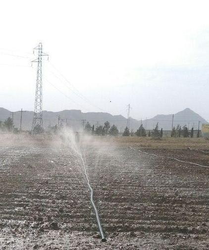 اجرای سامانه جدید آبیاری بارانی 'رین فلت' در شاهرود
