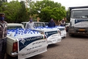 شهرداری باغین بسته‌های بهداشتی حمایتی را بین مردم توزیع کرد