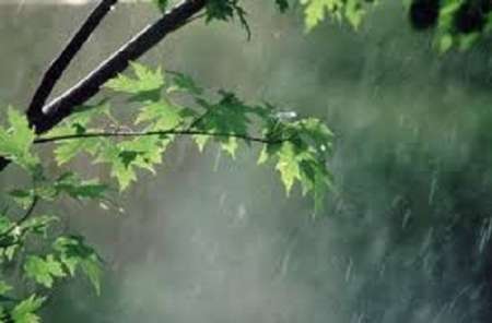 میزان بارش باران در منطقه امامزاده جعفر بیش از 159 میلیمتر کاهش یافت