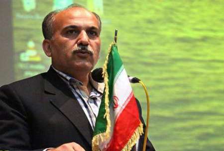 شمار سازمان های مردم نهاد حوزه ورزش و جوانان استان بوشهر 9 برابر شد
