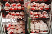 حمایت از تولیدکنندگان سمنانی با خرید ۶۵۰ تن گوشت مرغ