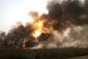 آتش سوزی در بخش ایرانی هورالعظیم