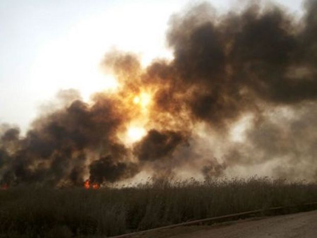 آتش سوزی در بخش ایرانی هورالعظیم