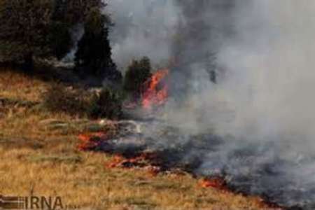 حدود 10 هکتار از جنگلهای کوه سفید لنده در آتش سوخت