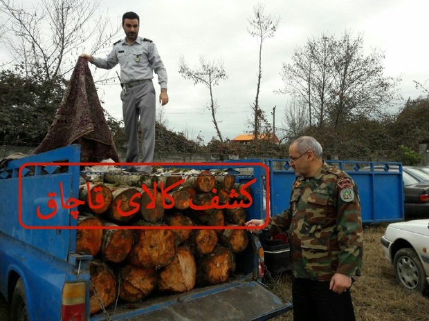 جنگل خواری ، مهم ترین پرونده تعزیراتی سال جاری در مازندران