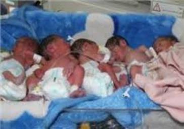 تولد نوزادان ۶ قلو در تبریز!