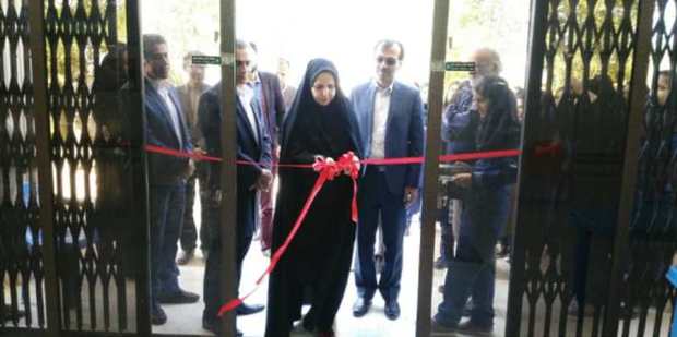 نمایشگاه هنرهای تجسمی هنرمندان بوشهری افتتاح شد