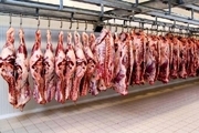 تولید سالانه 3000 تن گوشت قرمز در تنکابن