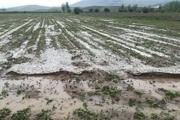 خسارت سیلاب تابستانی به استان های شمالی کشور