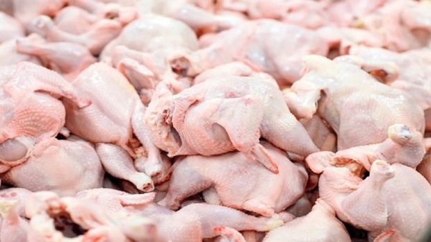 14 هزار تن مرغ در سردخانه های استان تهران ذخیره شده است