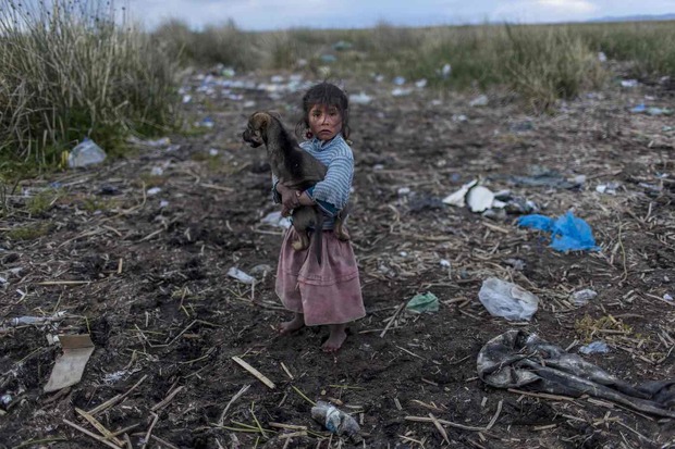 عکس/ کودکی در  دریاچه آلوده