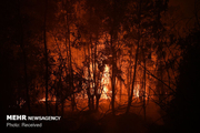 آتش سوزی جنگل خسرج مهار شد   اعلام آماده باش به یگان‌های ارتش