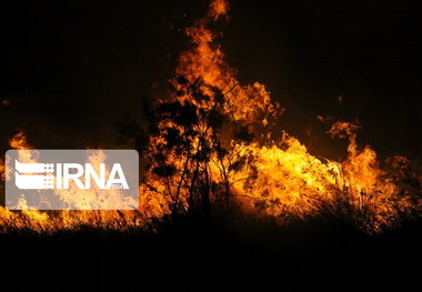 آتش جنگل‌ رامیان مهار شد