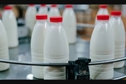 افزایش 80 درصدی قیمت لبنیات به دلیل افزایش هزینه های تولید/ کالابرگ شیر و لبنیات داده می شود؟