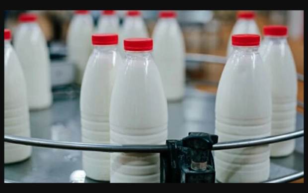 
نوشیدن زیاد شیر و خطر ابتلا به این سرطان 