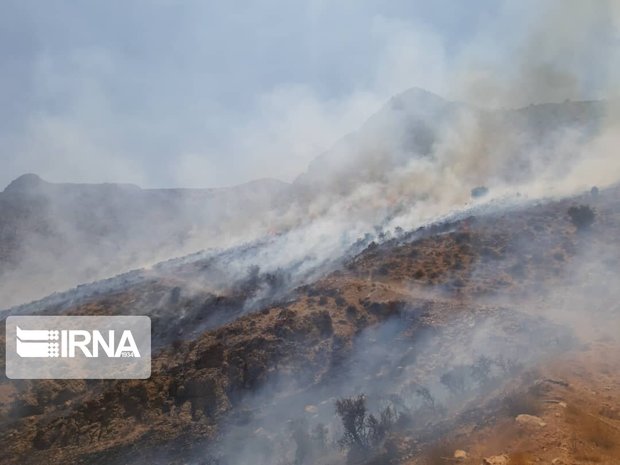 بی‌توجهی گردشگران، کوه دراک شیراز را به آتش کشید