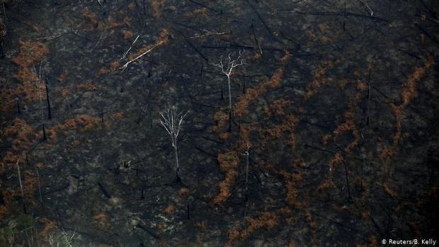 ادامه تنش میان فرانسه و برزیل بر سر آتش سوزی جنگل های آمازون