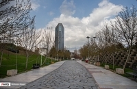 13990108000552637209262540572926_60624_PhotoT