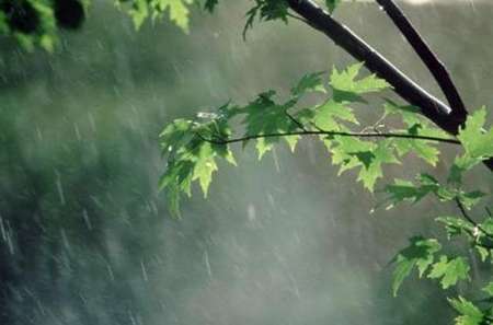 آسمان همدان تا اواخر هفته بارانی است