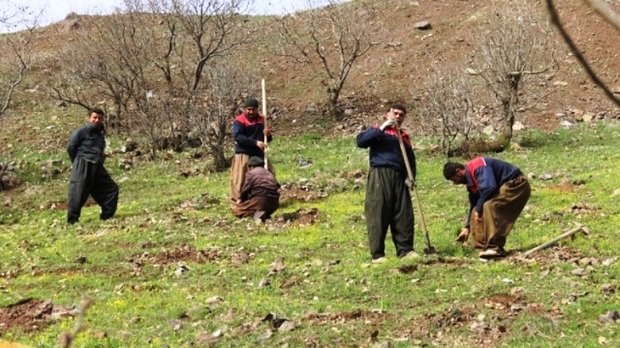 24 میلیارد ریال برای طرح های آبخیزداری کردستان هزینه می شود