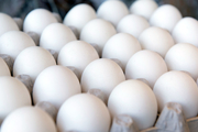 توزیع روزانه 15 تن تخم مرغ در قزوین