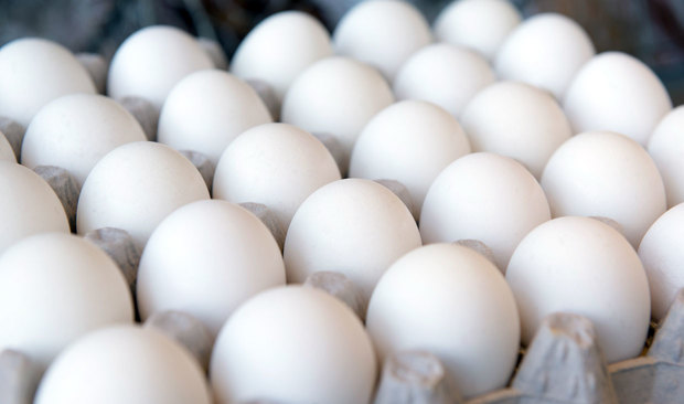 توزیع روزانه 15 تن تخم مرغ در قزوین
