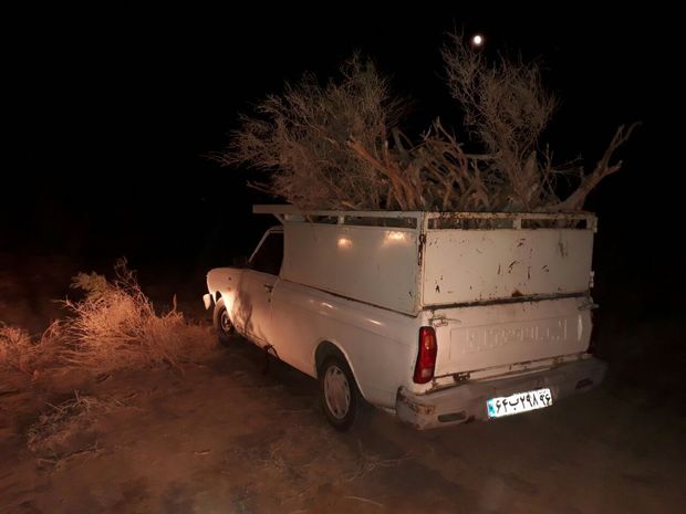 ۶۱ تن چوب و محصولات مرتعی قاچاق در استان سمنان کشف شد