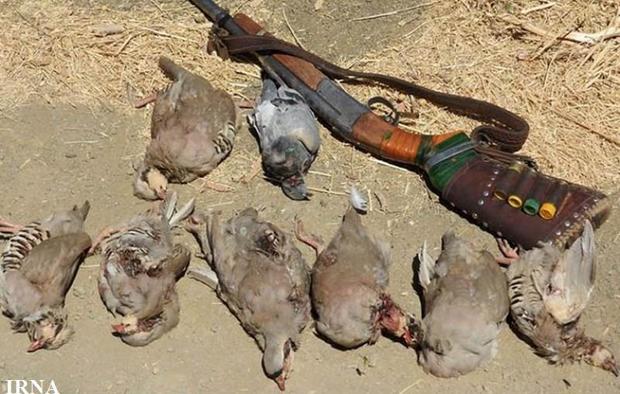 10 قبضه سلاح شکاری قاچاق در رودبار کشف شد