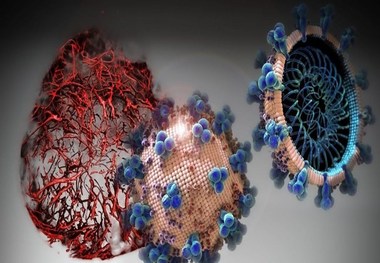  کرونا ویروس فرانسوی هم آمد؟!