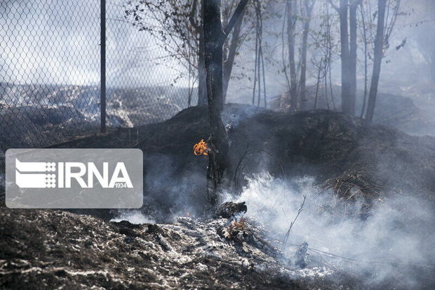 مدیرکل منابع طبیعی گیلان: از روشن کردن آتش در عرصه های طبیعی خودداری شود