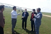 اجرای طرح کنترل و مبارزه شیمیایی در مزارع گندم و جو پارس‌آباد