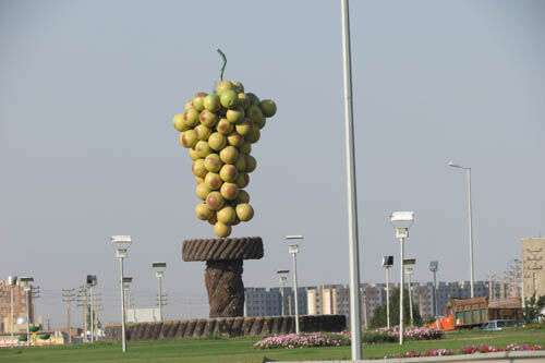 تاکستان هفتمین شهرستان کشور در تولید محصولات کشاورزی است