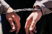 دستگیری سارقان سابقه‌دار در طبس