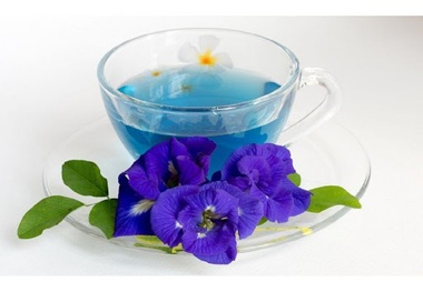 پنیرک؛ گیاهی برای درمان التهاب مجاری ادراری
