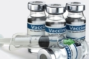 فروش دو واکسن ضد کرونا تا مهر ماه