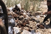 معدوم‌سازی بیش از 2 تن و 500 کیلوگرم خمیر خرمای آلوده در آبادان