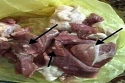 دامپزشکی قزوین، آلودگی گوشت قرمز به سل حیوانی را تکذیب کرد