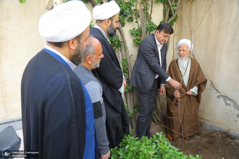 کاشت نهال توسط آیت الله العظمی جوادی آملی در هفته درختکاری