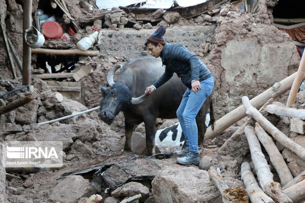 خدمات امداد و نجات و تغذیه اضطراری در مناطق زلزله زده ادامه خواهد داشت