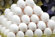 رکوردشکنی تخم مرغ در آستانه سال 1401: هر شانه 70 هزار تومان!