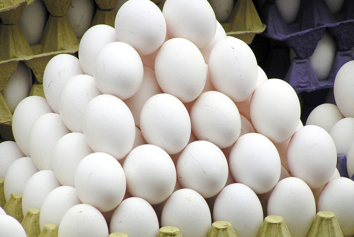 تخم مرغ دو نرخی است؛ علت چیست؟