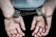 دستگیری اعضای باند کلاهبرداری 10 میلیارد ریالی در همدان