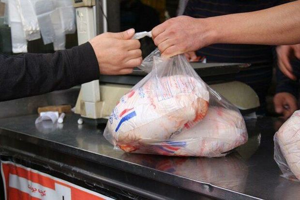 مرغ منجمد به اندازه کافی برای مصرف مردم استان سمنان ذخیره شده است