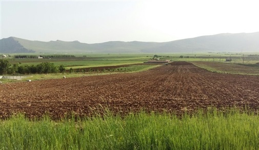 رفع تداخل 12هزار هکتار از زمین های زراعی با اراضی ملی در قزوین