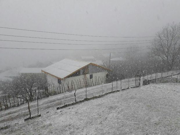 بارش برف شدید در ارتفاعات  کوهستانی شهرستان املش