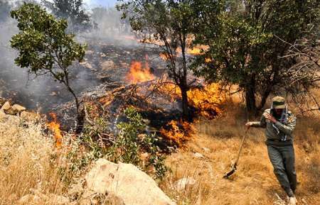 تلاش برای مهار آتش سوزی در جنگل‌ها و مراتع باشت ادامه دارد