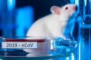 آزمایش موفقیت آمیز نانوواکسن کرونا بر موش ها و میمون ها