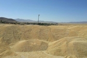 میزان خرید گندم دردهستان خسرو شیرین آباده افزایش یافت