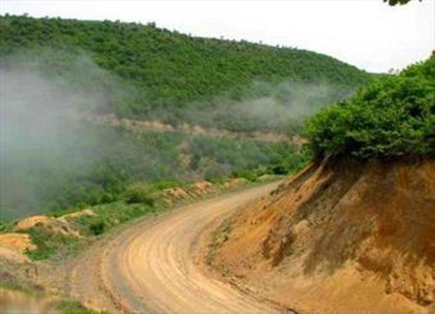 جاده دهدلی اردل با حداقل خسارت به جنگل ها باید  احداث شود