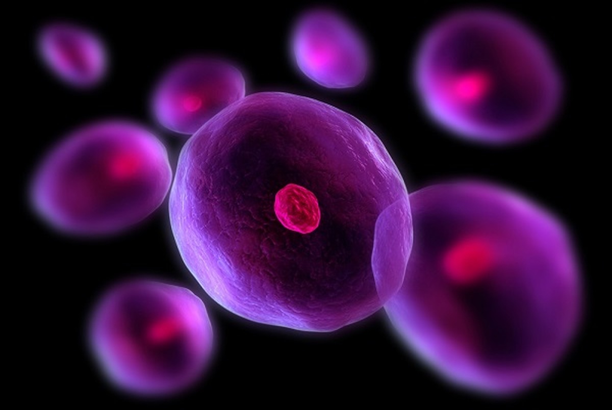 کشف غیرمنتظره‌ای درباره سرعت تکثیر سلول‌های بدن
